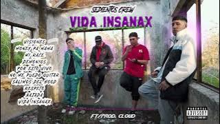 VIDA INSANAX ( MIX TAPE ) - SEDIENTOS CREW