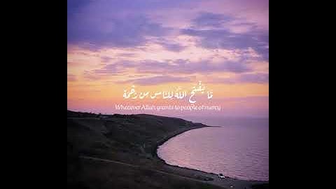 القرآن الكريم _ سورة فاطر _سعد الغامدي