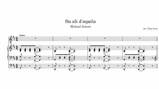 ACCOMPAGNAMENTI ORGANISTICI = 131) Su ali d'aquila (M. Joncas)