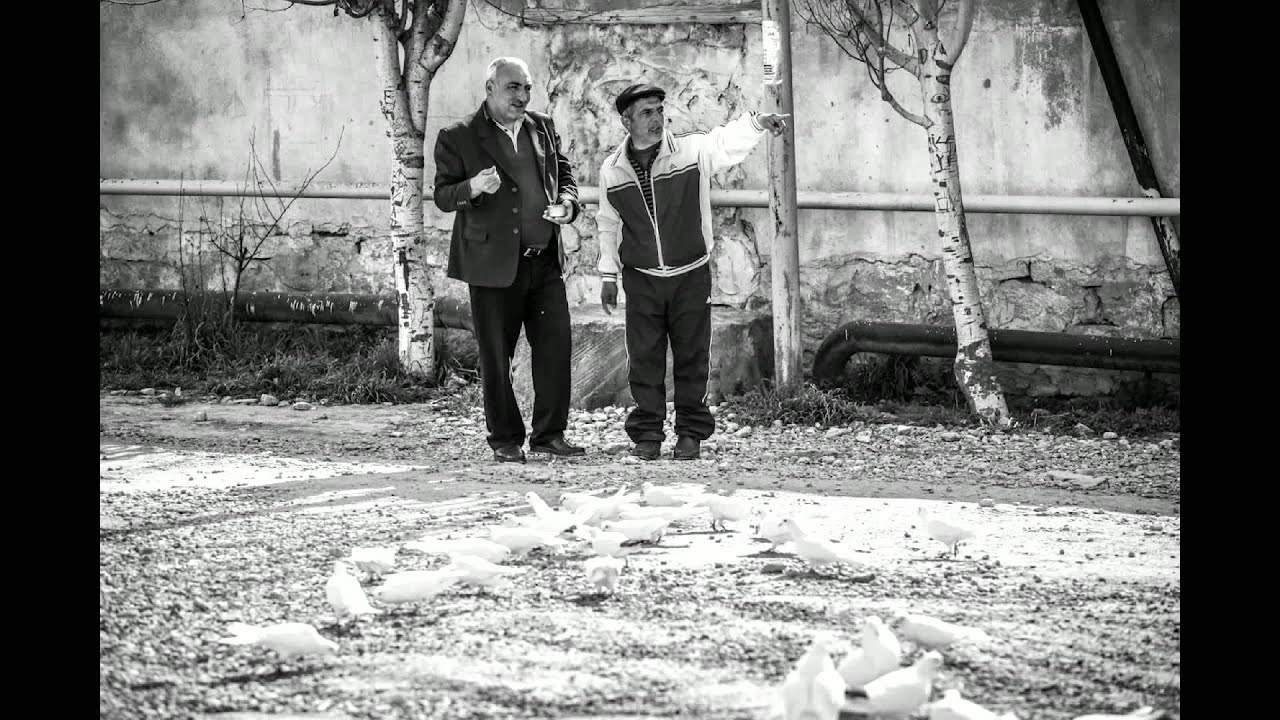 Tanrının da sevdiyi sülh quşları (fotoslayd)