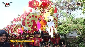 SING PENTING TARLING - SINGA DANGDUT PUTRA PAI MUDA - CIPANCUH MINGGU 14 APRIL 2024