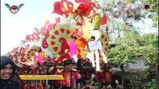 SING PENTING TARLING - SINGA DANGDUT PUTRA PAI MUDA - CIPANCUH MINGGU 14 APRIL 2024