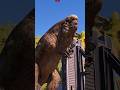 DISTORTUS REX Vs EMBER - Jurassic World Evolution 3 #jurassicworld
