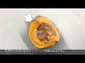 使い方紹介/オーラパック少量野菜規格品（カットかぼちゃ）