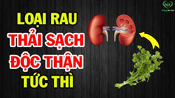 Hồi Sinh Gan Thận TỨC THÌ Chỉ Với LOẠI RAU MỌC ĐẦY VƯỜN NHÀ, Kết Quả Sẽ Khiến Bạn Bất Ngờ