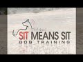Teaching a dog to run straight back using jumps