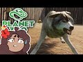 The END of Wolf Mountain...?! 🐼 Daily Planet Zoo! • Day 35