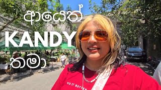 සිංහල Vlog | Kandy Vlog