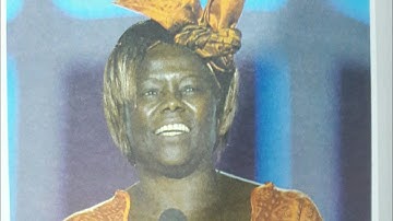 Something Wonderful Happens When You Plant | Exercises and Explanation