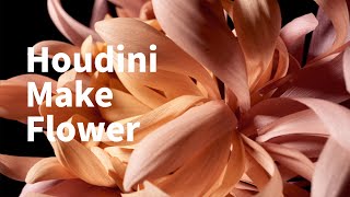 Celebrity 【Houdini tutorial】Houdini make a flower Profile