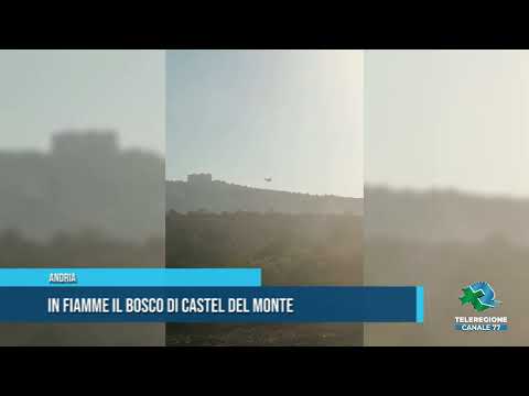 ANDRIA In fiamme il bosco di Castel del Monte  TG TELEREGIONE 15 07 2022