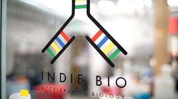 Why IndieBio?