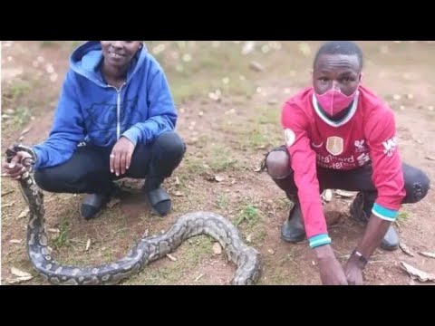 CBC Ya Atariasha Walimu Shuleni