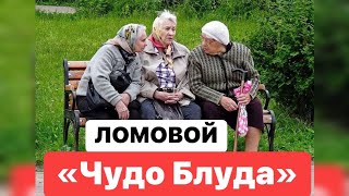 картинка: ЛОМОВОЙ - Чудо блуда