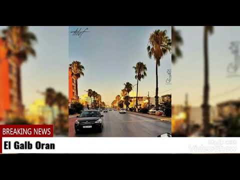 الشيخ المازوزي وهران وهران الفن الأصيل