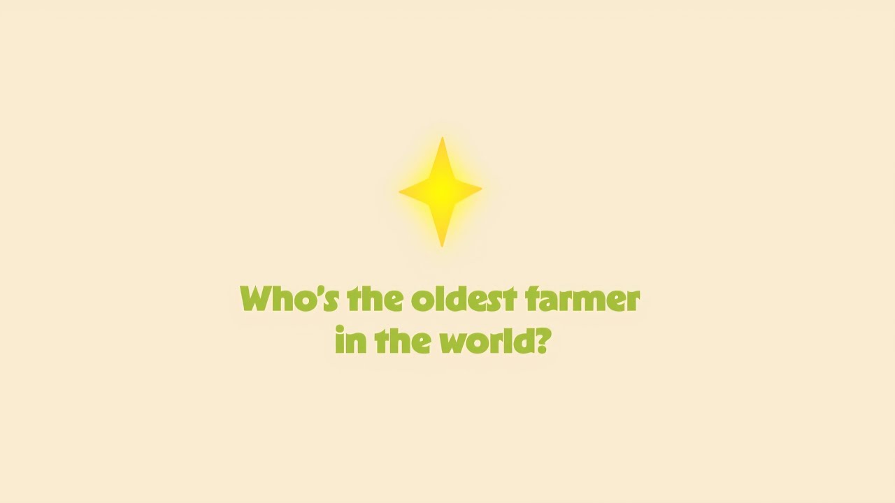 Leafcutter Ant Infographic