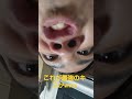 これが最強のキスかwww