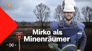 Wie räumt man ein Minenfeld? | History Quest | Terra X