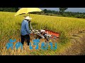 Amazing  Modern Technology Rice Harvesting Machine ถึงเวลาตัดข้าว.