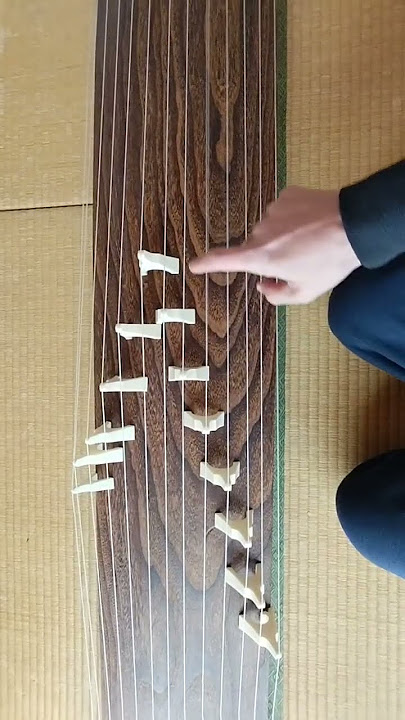 Beginner's Koto Set 13 Strings 183cm 72 in w/Kotozi Japan Musical Instrument JP