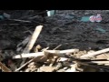 انهيار منزل في بولاق