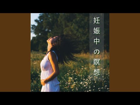 Regardez Illumination sur YouTube