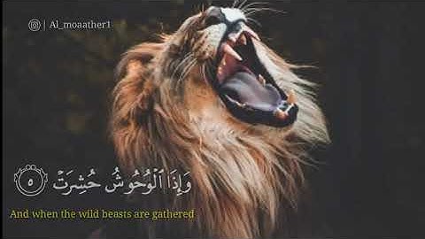 📌القارئ عبد الباسط عبد الصمد تلاوة خاشعة حالة واتس اب🍃🌺🍀