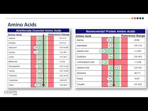 Video: In granen zijn beperkende aminozuren?