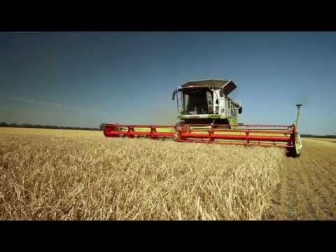 Как защитить семена