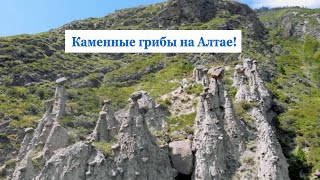 Лучшие места Горного Алтая. КАМЕННЫЕ ГРИБЫ.  Ущелье Ак-Курум.