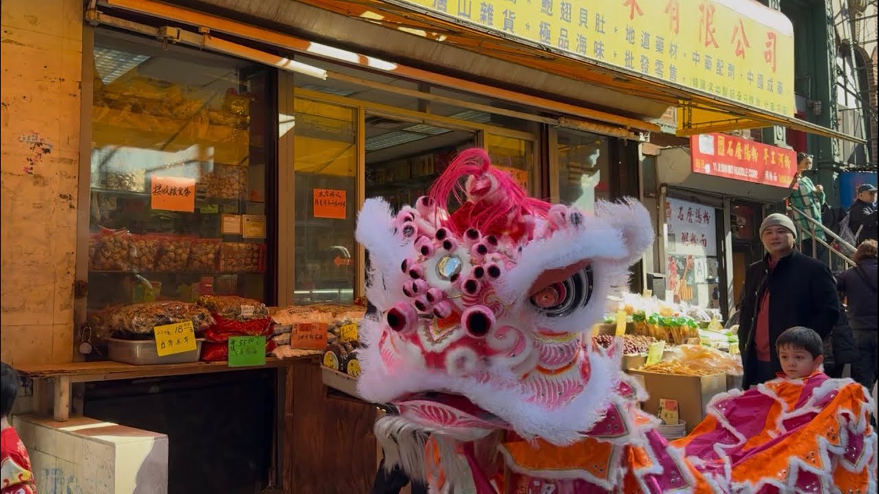 NYC Lion Dance Chinatown Super Saturday | Wan Chi Ming (2/28/26)