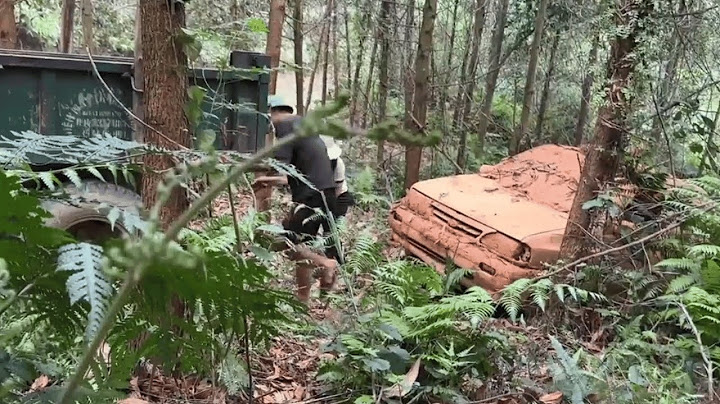 Mystery Next Door: Rescuing a Car Abandoned by the Neighbor for Years!