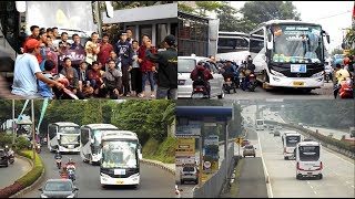 NEW!! Driver Ramah, Konvoi 4 Unit Bus Dian Trans Goes To Jogja