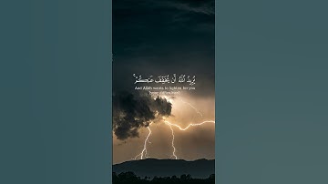 #القرآن_الكريم #اكسبلور #المصحف #تلاوة_قرآن #راحة_نفسية 