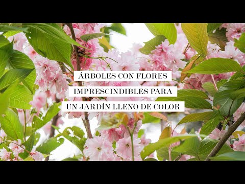 Árboles con flores imprescindibles para tener un jardín primaveral lleno de color | DecoraciónTV