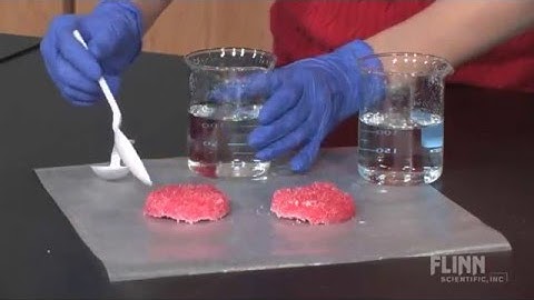 About the Oil Spill Clean-Up Demonstration Kit