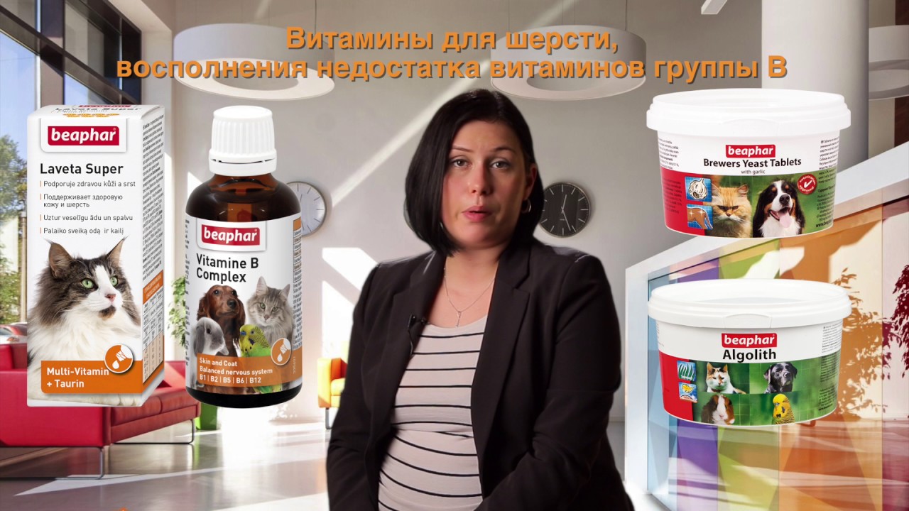Витамины и кормовые добавки Beaphar