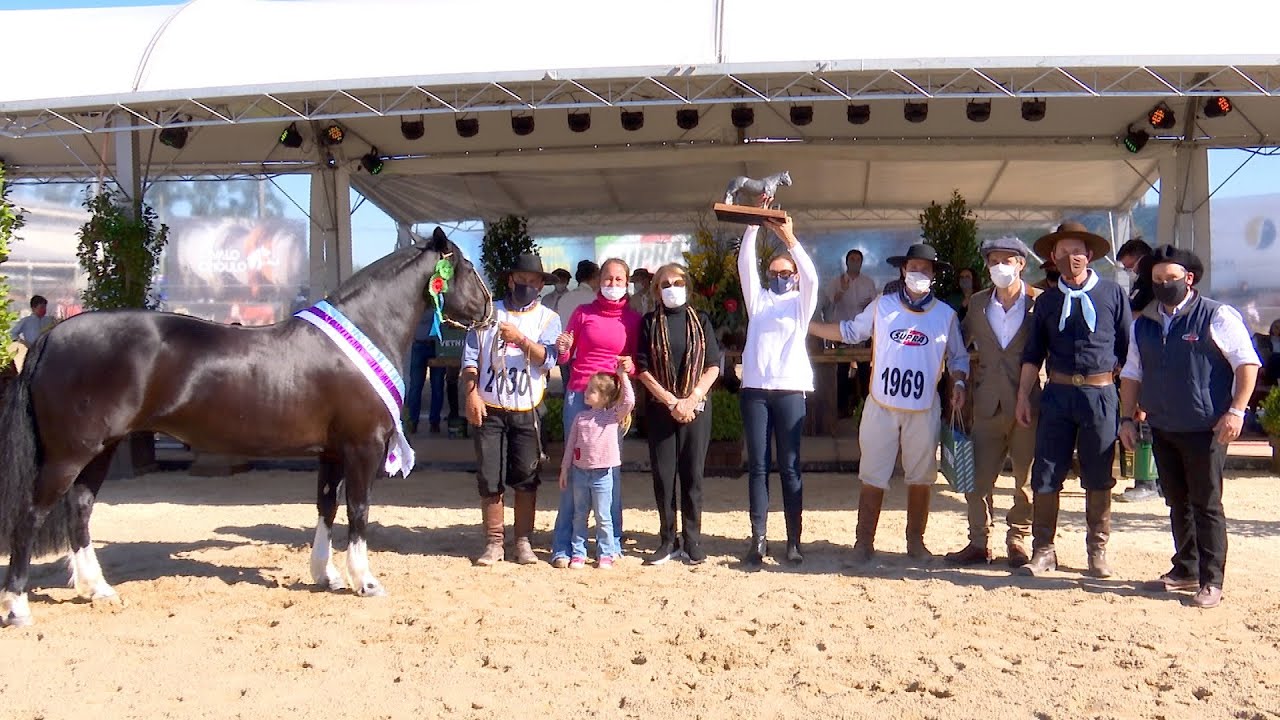 Basca Água Benta-TE - 4ª Melhor Fêmea na Morfologia da Expointer 2021