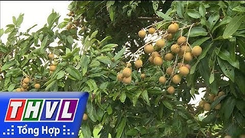 THVL | Sức lan tỏa của việc học tập và làm theo gương Bác