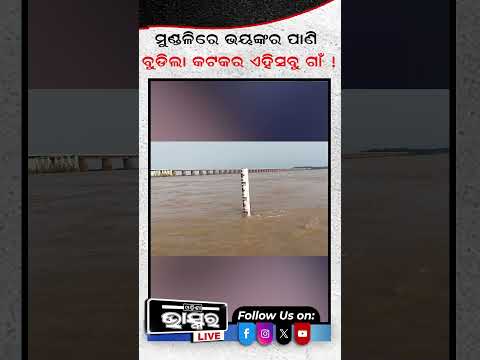 ଭୟଙ୍କର ପାଣିରେ ବୁଡିଗଲାଣି ମୁଣ୍ଡଳୀ #hirakuddam #odishabhaskar  #shortvideo #munduli #mahanandi