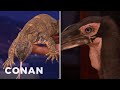 Animal Expert David Mizejewski: Black-Throated Monitor Lizard & Hornbill | CONAN on TBS
