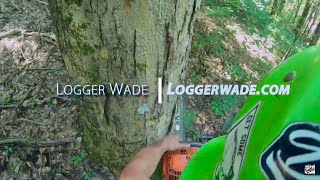 We Gettin Down With The Steepness