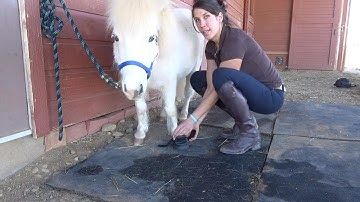 Easyboot Mini Application Guide