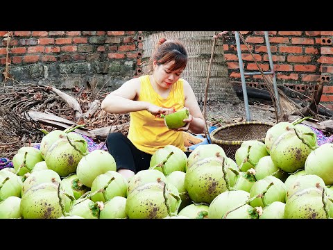Harvesting Coconuts To Take To Upland Market For Sale | Free New Life