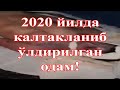 Негатив 34: Президент ислоҳотлари нега ИИВни четлаб ўтаяпди?