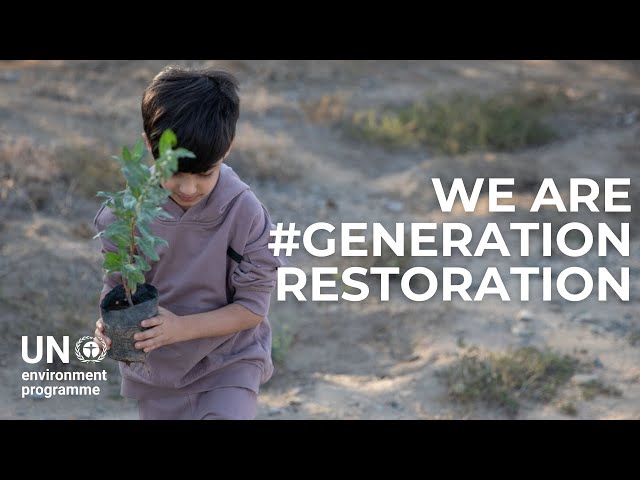 World Environment Day 2024: will you join Generation Restoration? class=