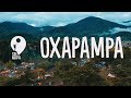 OXAPAMPA, respira bonito al ritmo del Selvámonos | Sin Mapa Perú