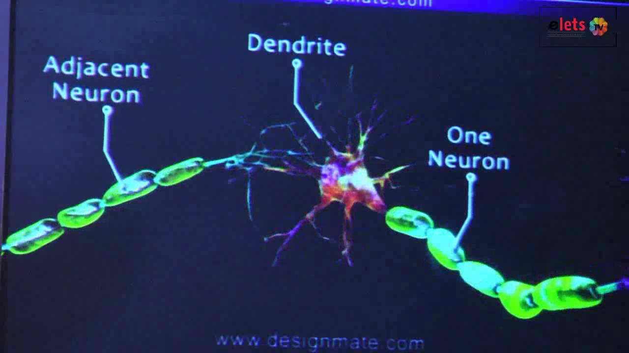 elets World Education Summit' 16 - Industry Presentation - Jacqueline Anthony, Educomp Solutions