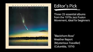 Blackthorn Rose - Weather Report