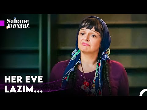 Kibar'ı, Klonlayabiliyor Muyuz? - Şahane Damat